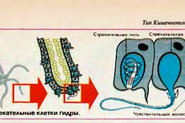 Кракен что это за маркетплейс