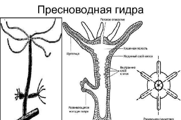 Кракен маркет даркнет только через тор