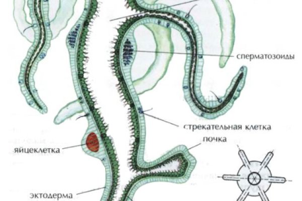 Кракен ссылка онлайн