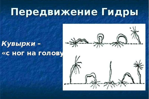 Кракен вход kr2web in