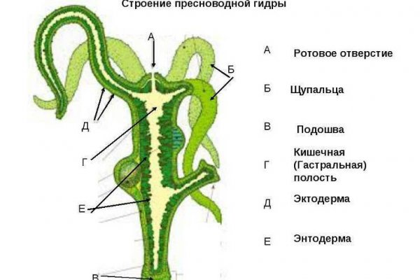 Сайты продаж наркотиков