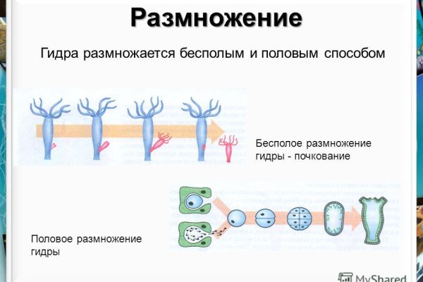 Кракен 18 вход