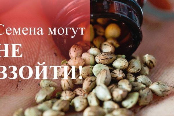 Как зайти на кракен